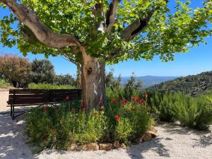 Villas Authentic renovated villa, pool, magnificent view : photos des chambres