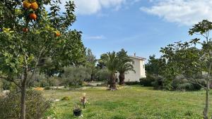 Family house 5 from beach