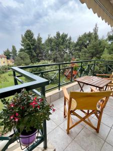 Family house 5 from beach