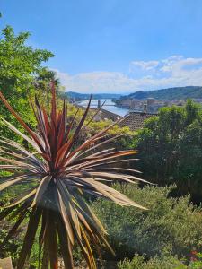 Appartements La Batie - Vue imprenable - Amazing view - Parking prive : photos des chambres