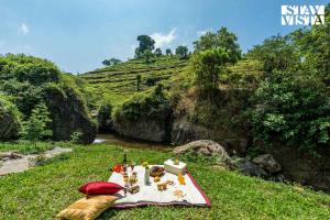 StayVista at Ambrosia access to water stream