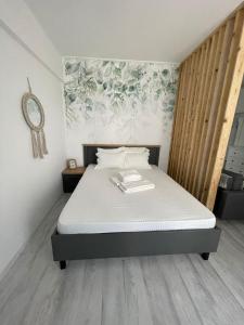 Studio IBO Mamaia Nord