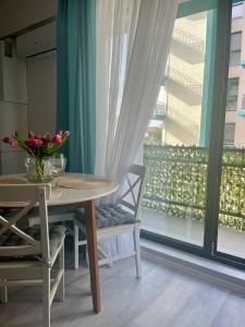 Studio IBO Mamaia Nord