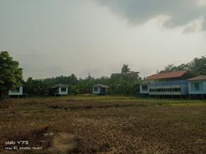 Jolly Homestay