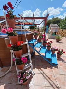 Casa Chalet Venta Ruizo