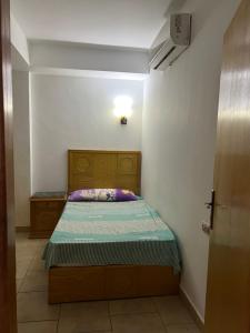 قريه بالميرا العين السخنه