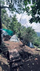 Alpine Kanthalloor CAMP SITE