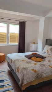 Lake Dream Apartment