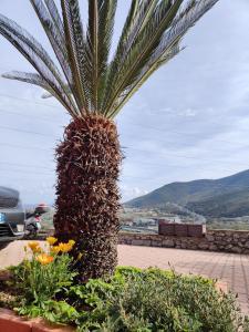 La casina del sole