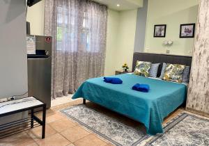 Athens Victorias studio