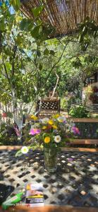 Holiwood