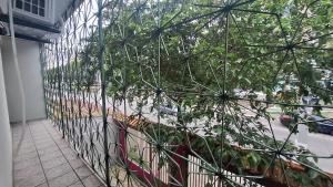 Encanto da Amazônia COP 30