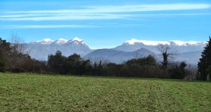 Villa Spacieuse au Calme Absolu avec Grande Piscine Jacuzzi Chauffé - Grand Jardin Sans Vis a vis- Salle de Jeux avec Fresque du Nougat - Ideal Familles et Groupes Drome Provencale