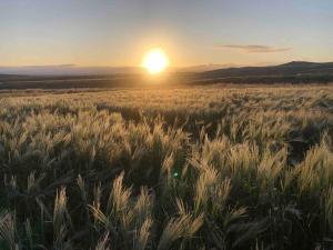 Óbót 1 riverside cabin