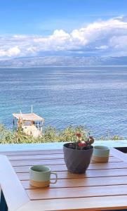 Chelona - Coastal Apartment