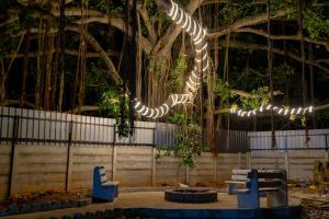 Courtyard Banyan, Nandi Hills