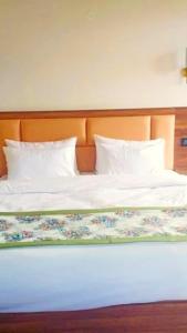 Tripoo Rhisum the premium Haapo retreat