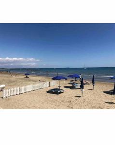 The terrace on the beach