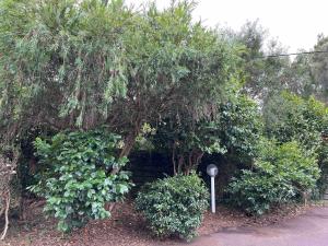 Mornington Peninsula Getaway-Somers Beach House