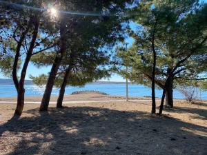 Apartment IB Studio Pag6