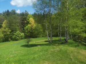 Maringotka k pronájmu