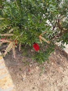 D & A Land luxury house