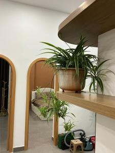 In Here - Homestay Đà Lạt