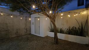 Casa Loto Chetumal