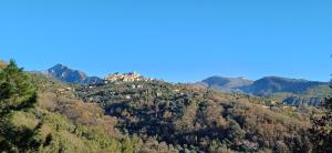 Le Domaine de la Feuilleraie