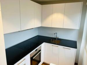 Huge 2-Room Apartment with Balcony in Center ALT 151