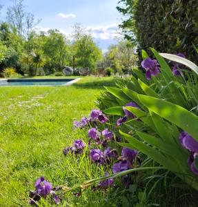 Maisons d'hotes Mas Notre-Dame, Adults only, situation ideale, grand jardin paisible : photos des chambres