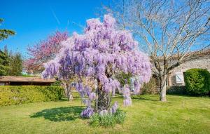 Maisons de vacances Awesome Home In Gageac-Et-Rouillac : photos des chambres