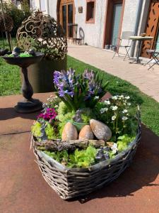 Scheier (Ferienwohnungen)