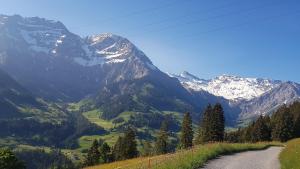 Sonnen-Panorama