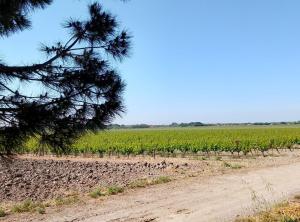 Sejours chez l'habitant PENICHE FARNIENTE CLIMATISEE - Aux Portes de la Camargue : photos des chambres
