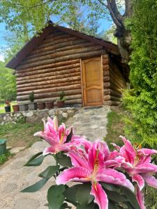 Guest house Hyrmet Demushi