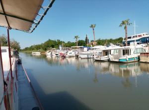 Sejours chez l'habitant PENICHE FARNIENTE CLIMATISEE - Aux Portes de la Camargue : photos des chambres