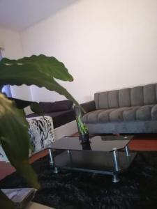 Private Room in Central Joburg