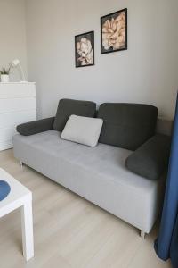 Urban Jungle - Silver Apartment