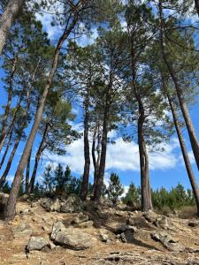 Campings Les Chalets de Labeaume : photos des chambres