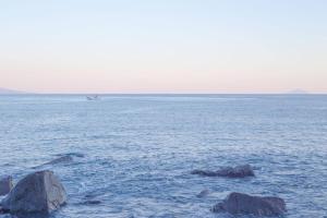 HAKU-akazawa- 波空