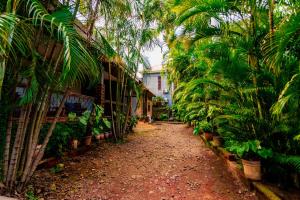 Cozy Nature Escape in Moshi