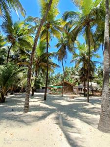 Sai Siddhai nyhari niwas