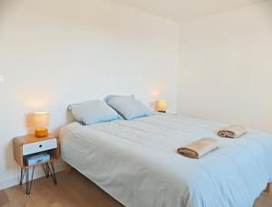 Maisons de vacances La Maison des Ecumes : photos des chambres