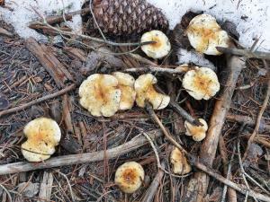 Hyphen 5-bedrooms rental, private beach, filtered view