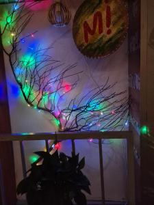 Mị Homestay Sài Gòn