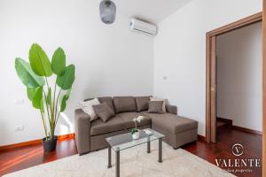 Comfy and Elegant Apartment