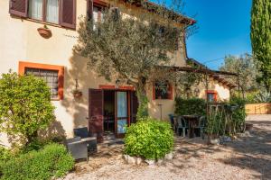 Il Grappolo E La Rosa