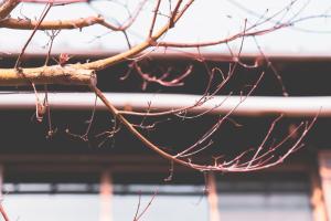 Seiseian KAIDO Authentic Stay