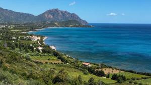 La PAVONCELLA 1 img36